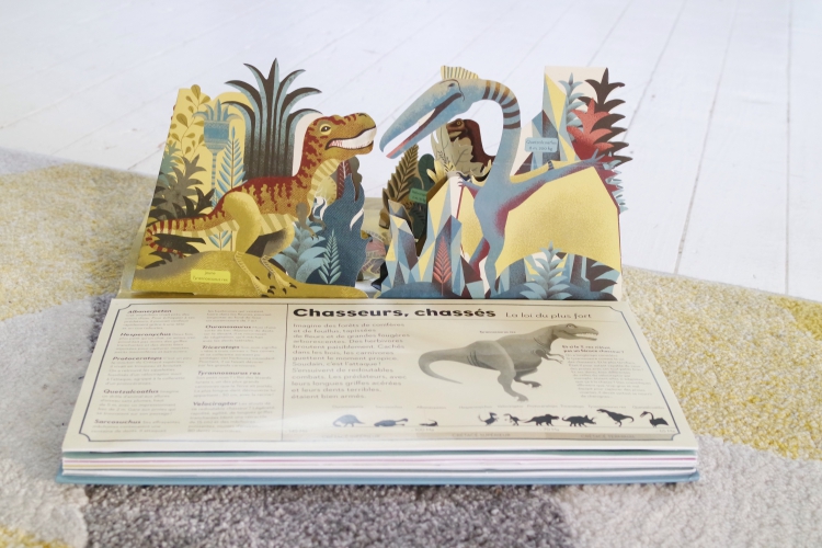 dinomania,livre dinosaures