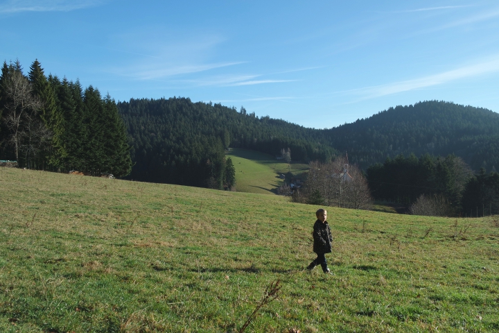 forêt noire 