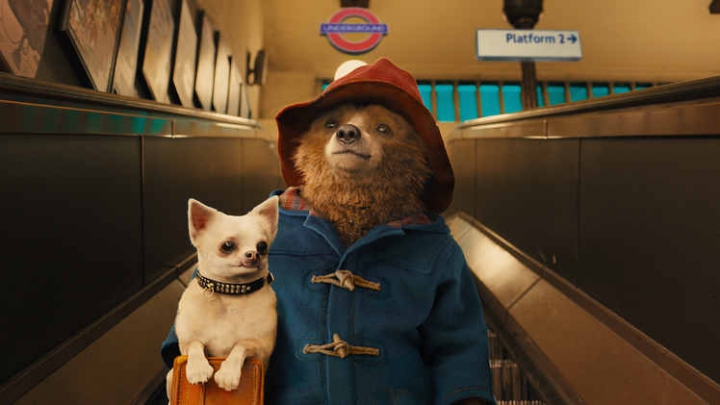 Paddington-36858_7.jpg